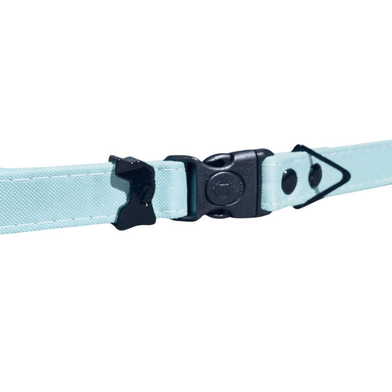 Aqua